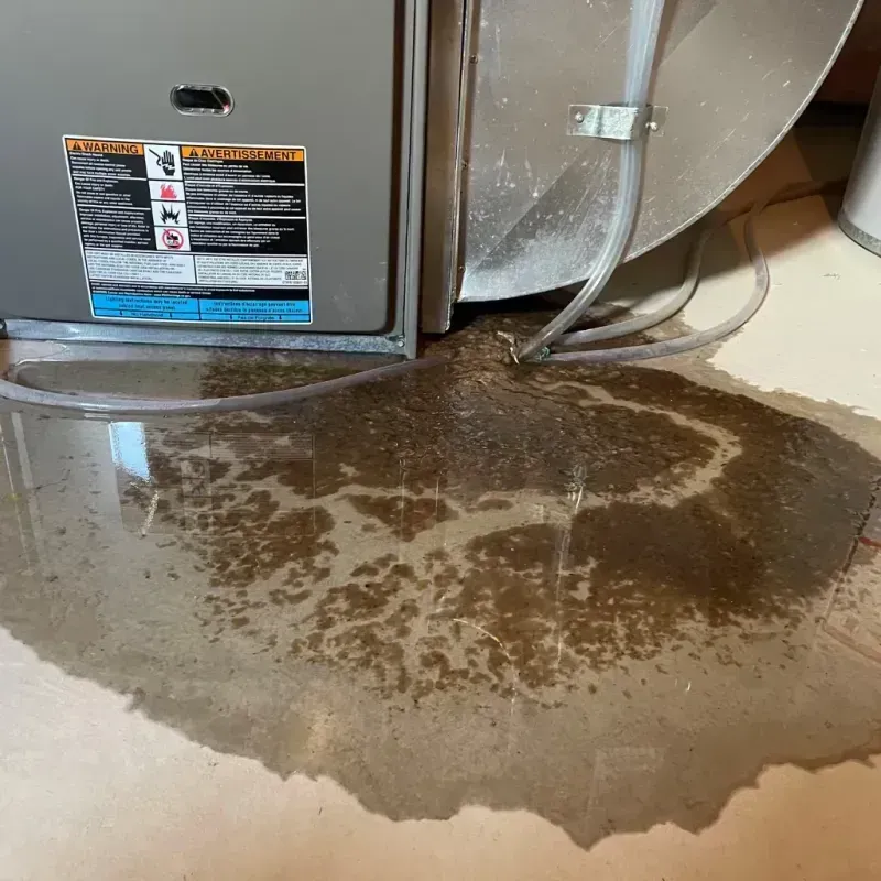 Appliance Leak Cleanup in Mountain View, CA